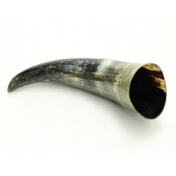 Drinking Horn picture