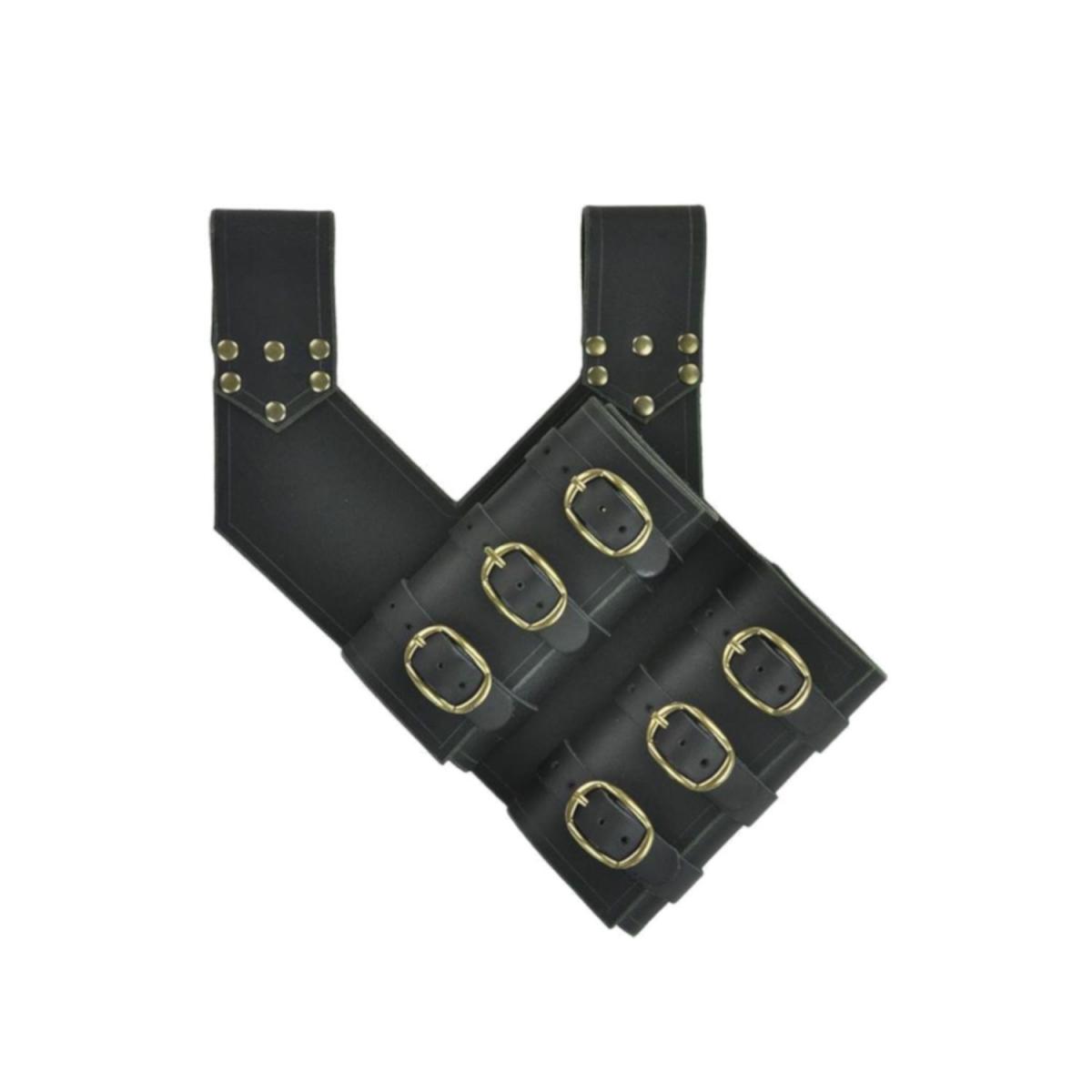 Adventurer's Double Scabbard picture