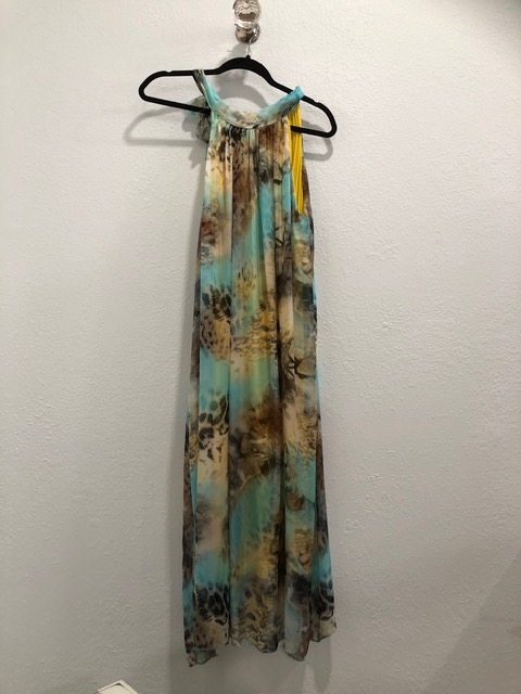 Silk Simba Tie Dye Dress picture