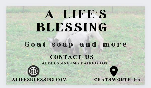 A Life’s Blessing Goat Soap @ More