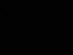 Shanai Henna
