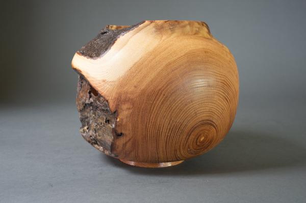 Wood Vessel picture
