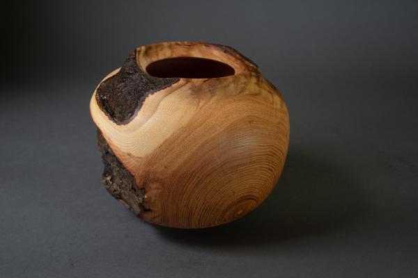 Wood Vessel picture