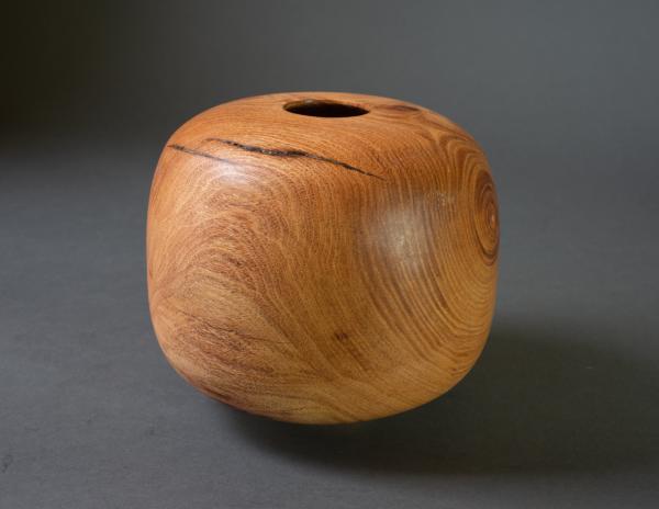 Wood Vessel picture