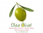 Olea Oliva!