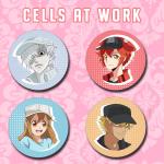 White Blood (Cells at Work)
