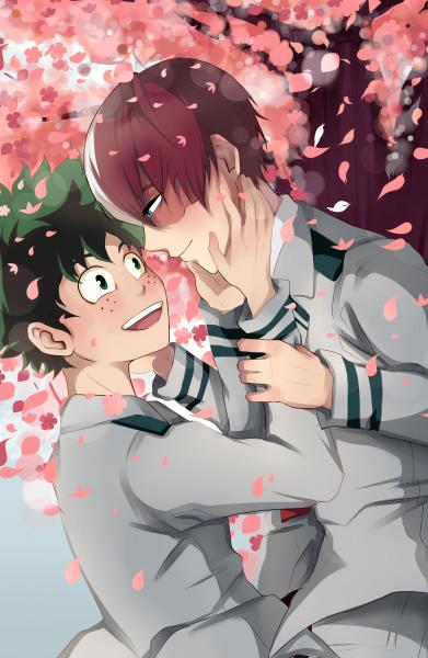 TodoDeku (BNHA) picture