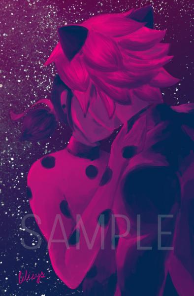 Ladynoir picture