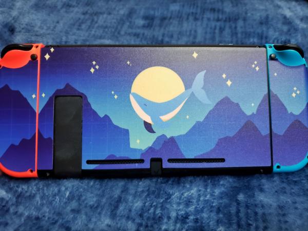 Switch Vinyl Skin picture