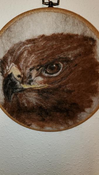 Red Hawk - Needle Felting - Fiber Art picture