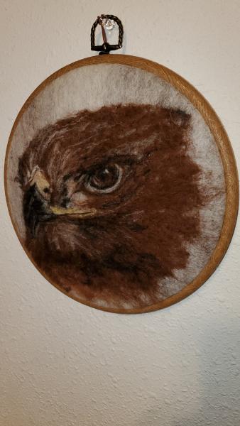 Red Hawk - Needle Felting - Fiber Art picture