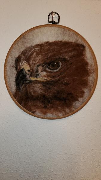 Red Hawk - Needle Felting - Fiber Art picture