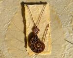 Amonite Fossil Celtic Knot Necklace