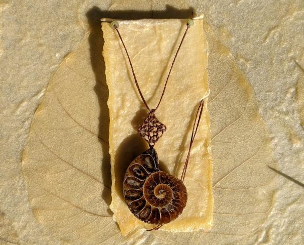 Amonite Fossil Celtic Knot Necklace picture