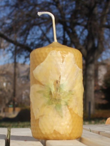 Beeswax candle with pressed flowers short pillar picture