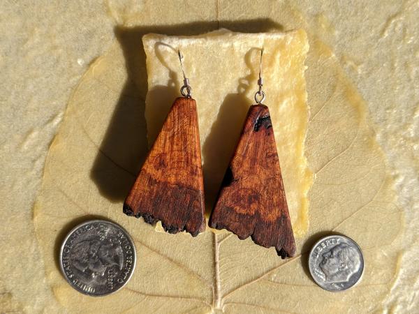 Wooden Moth Wing Earrings picture