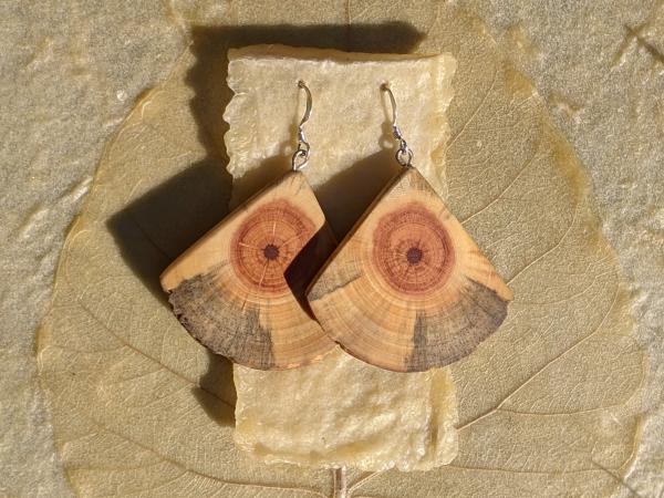 Wooden Moth Wing Earrings