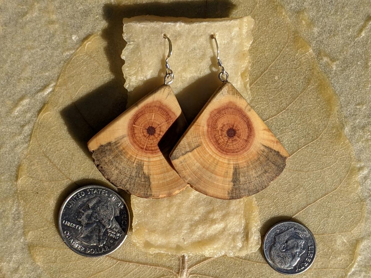 Wooden Moth Wing Earrings picture