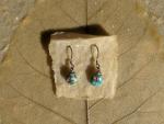 Sleeping Beauty Turquoise Earrings