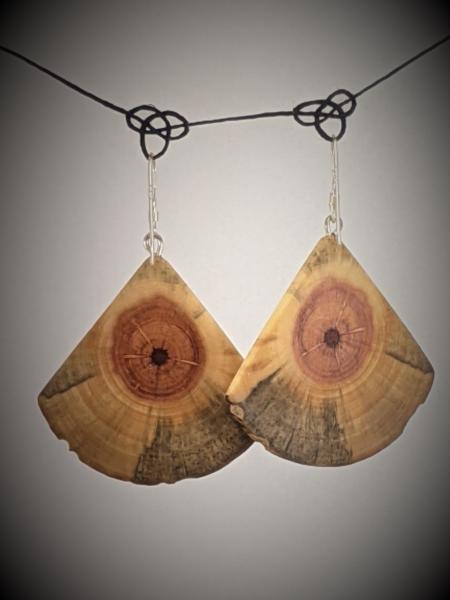 Wooden Moth Wing Earrings picture