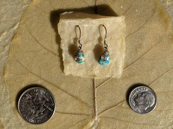 Sleeping Beauty Turquoise Earrings picture