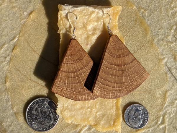 Wooden Moth Wing Earrings picture