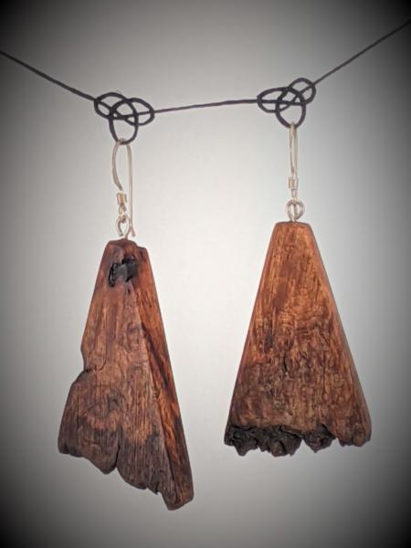 Wooden Moth Wing Earrings picture