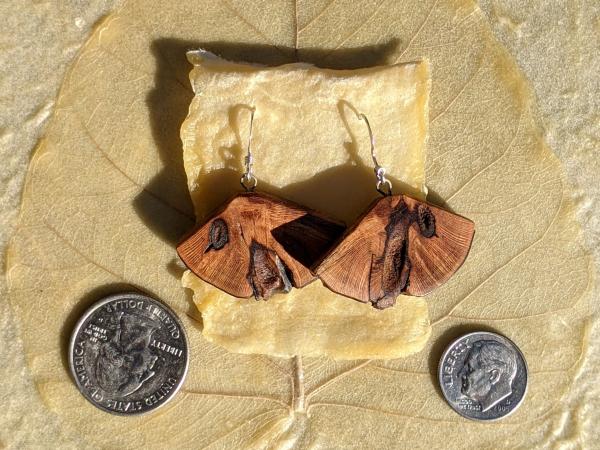 Wooden Moth Wing Earrings picture