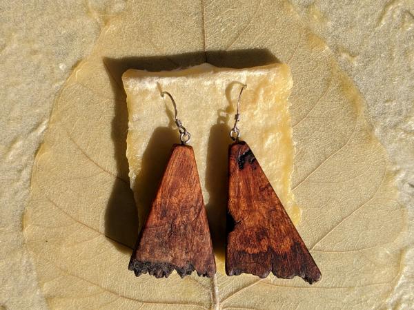 Wooden Moth Wing Earrings picture