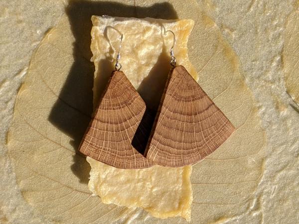 Wooden Moth Wing Earrings