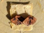 Wooden Moth Wing Earrings