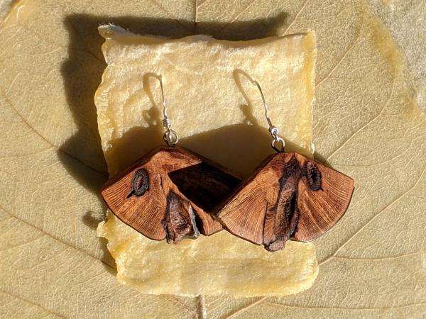 Wooden Moth Wing Earrings