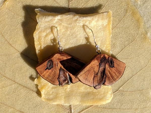 Wooden Moth Wing Earrings picture