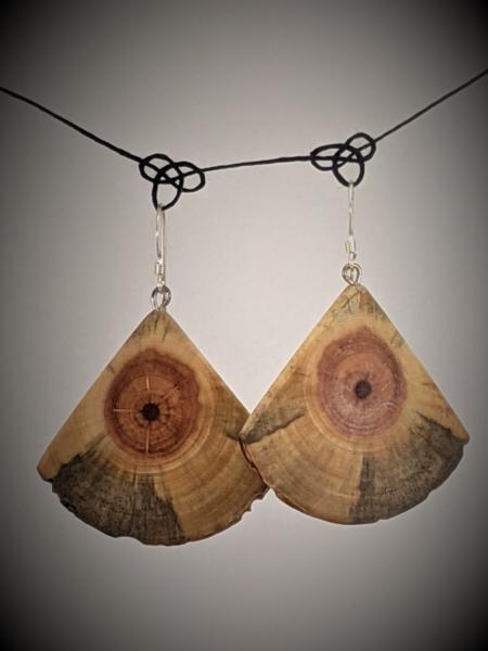 Wooden Moth Wing Earrings picture