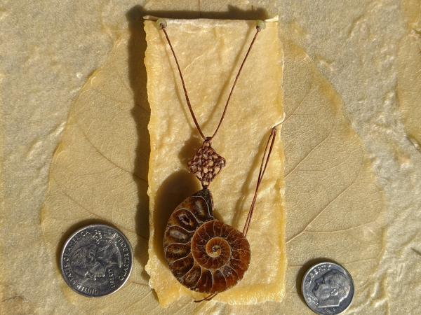 Amonite Fossil Celtic Knot Necklace picture