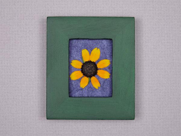 Pressed Flowers - "Little Suzie" Sunflowers