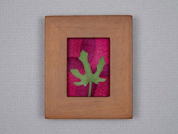 Pressed Fig Leaf on Rose Petals