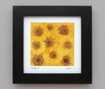 Pressed Coreopsis Flowers