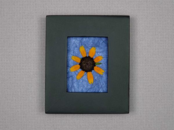 Pressed Flowers - "Little Suzie" Sunflowers picture