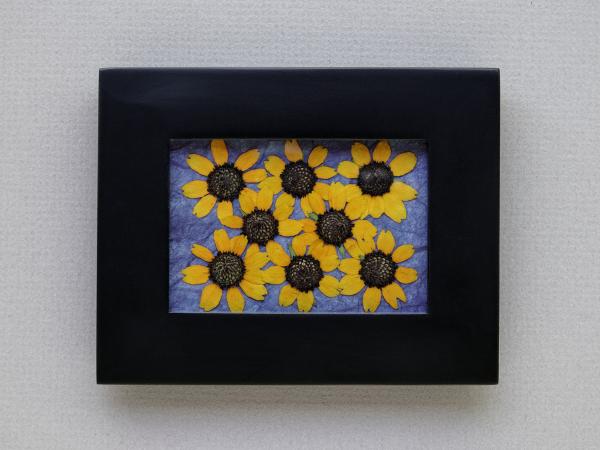 Pressed Flowers - "Little Suzie" Sunflowers