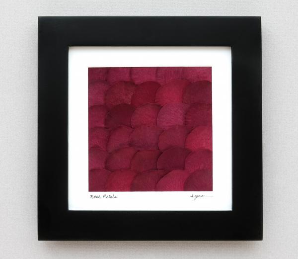 Pressed Rose Petals picture