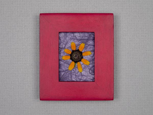 Pressed Flowers - "Little Suzie" Sunflowers picture