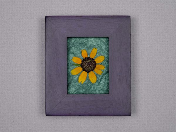 Pressed Flowers - "Little Suzie" Sunflowers picture