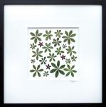 Pressed Sweet Woodruff with Penta Flower Picture - Archivally Matted and Framed Botanical, Size 10" X 10" X 1"