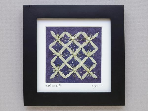 Pressed Fall Clematis Framed Picture