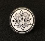 Ram Skull Acrylic Pin