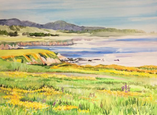 Half Moon Bay Springtime picture