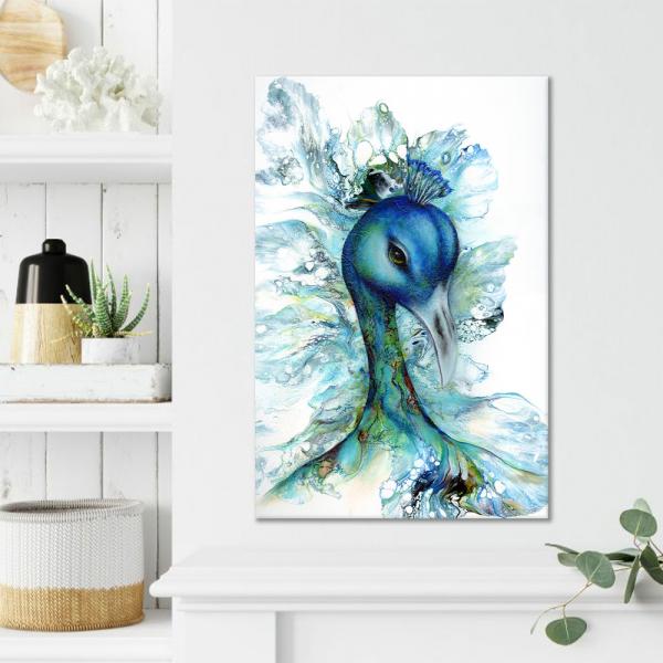 Pavo picture