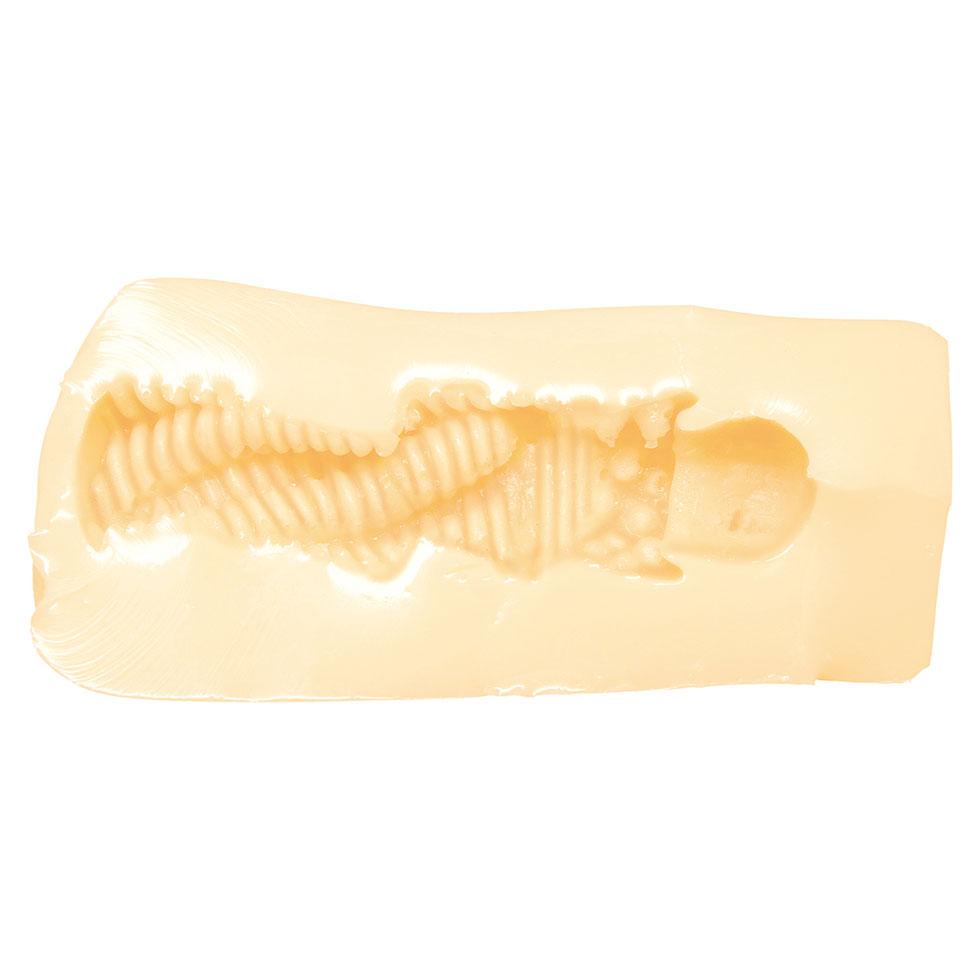 Real Eroge Situation! H × 3 Amasaki Ayame Deluxe Onahole Set 18+ picture