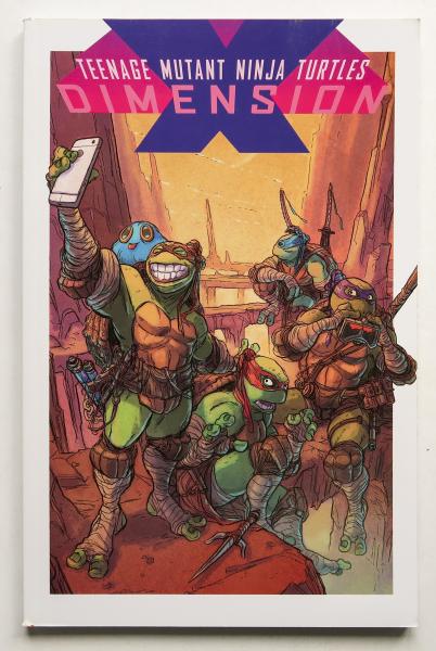 Teenage Mutant Ninja Turtles Dimension X IDW Graphic Novel Comic Book